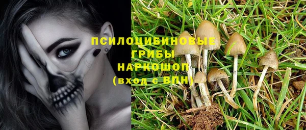 мдпв Дмитриев