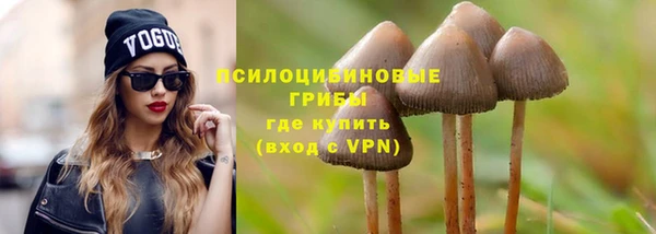 мдпв Дмитриев