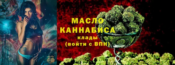 мдпв Дмитриев