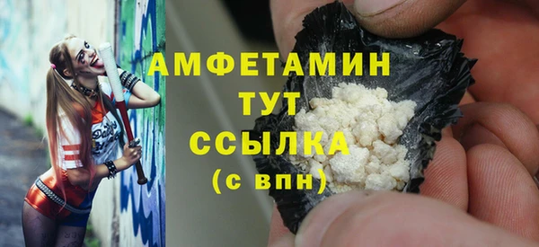 мдпв Дмитриев