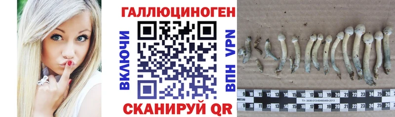 Купить закладки  Макарьев  Псилоцибиновые грибы Psilocybe 